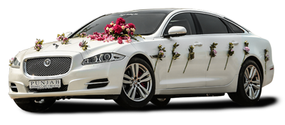 Wedding Car Rental