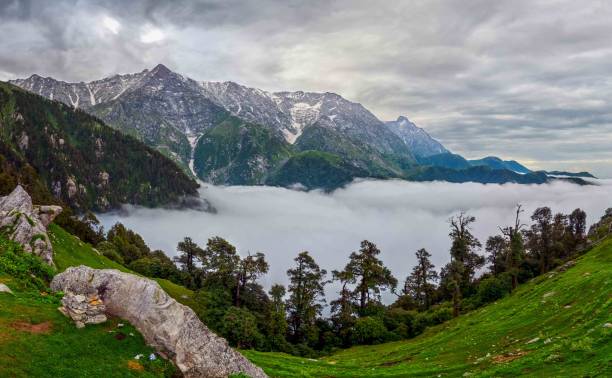 McLeodganj Tour Package